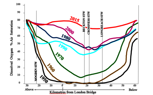 The improvements to oxygen levels in the River Thames